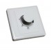LED Dimmer Switch TRIAC 600W AC 220V