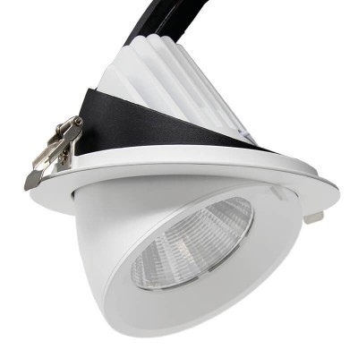 50W Round Adjustable LED Spotlight 24º