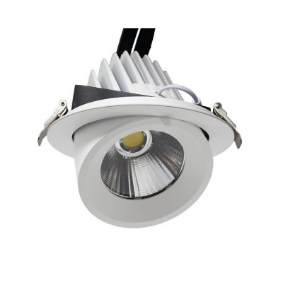 25W Round Adjustable LED Spotlight 24º - CCT- Selectable Color