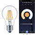 LED Bulb Filament 7W SMART Wifi - CCT - A60 Dimmable - E27