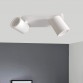 White Ceiling Lamp for 2x GU10