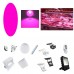 Pink Filter for LED Lighting