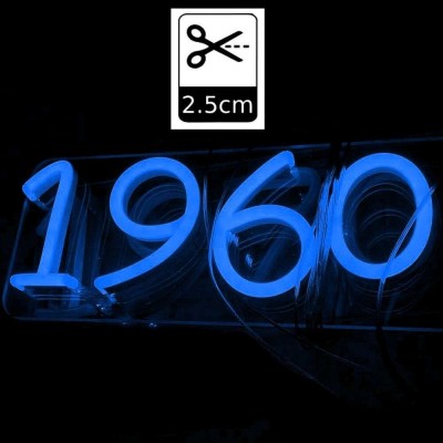 Pack LED Blue Neon LED 6mm 12V + Power supply