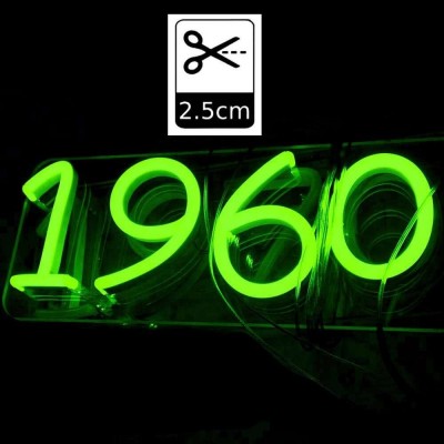 Pack LED Green Neon LED 6mm 12V + Power supply