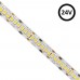 LED Strip 24V | 240xLED/m | 5m | SMD2835 | 2200Lm | 25W/M | IP20