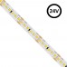 LED Strip 24V | 180xLED/m | 5m | SMD2835 | 1700Lm | 20W/M | IP20