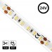 LED Strip 24V | 120xLED/m | 5m | SMD2835 | 1100Lm | 12W/M | IP20