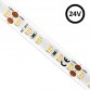 LED Strip 24V | 120xLED/m | 5m | SMD2835 | 1100Lm | 12W/M | IP20