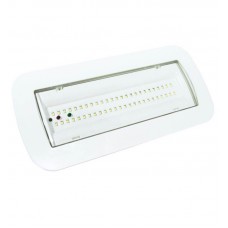 LED Emergency Light 4W + Ceiling Kit + Permanent Light Option - IP65