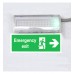 LED Emergency Light 4W + Ceiling Kit + Permanent Light Option - IP65
