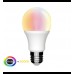 LED Bulb RGB + 3000K - 10W 270º E27 with Remote Control