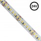 LED Strip 24V | 182xLED/m | 5m | SMD2835 | 11200Lm| 16W/M | IP20