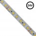 LED Strip 24V | 120xLED/m | 5m | SMD2835 | 1680Lm | 12W/M | IP20