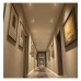 7W White Round LED Downlight - Adjustable - CCT Selectable Color