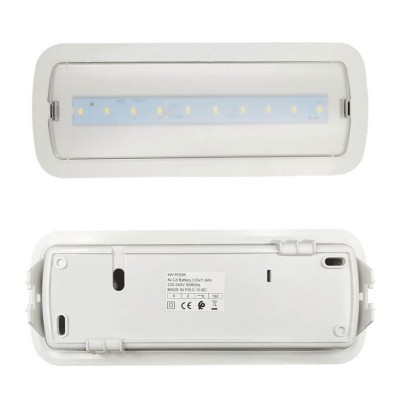 Emergency Light LED 4W + Ceiling Kit - Self-Test | IP20 | 6500K