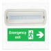 Emergency Light LED 4W + Ceiling Kit - Self-Test | IP20 | 6500K
