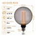 LED Bulb - Modern Smoked Glass - 4W - E27 - G125