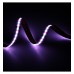 LED Strip 24V RGBIC | DIGITAL SMD5050 | 5m | 60LED/m | 12W/m | IP20 LED Strip 24V RGBIC | DIGITAL SMD5050 | 5m | 60LED/m | 12W/m | IP20