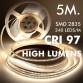 LED Strip 24V | 240xLED/m | 5m | SMD2835 | 3000Lm | 30W/M | CRI97 | | IP20| HIGH LUMENS